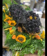 Sausage Dog funerals Flowers
